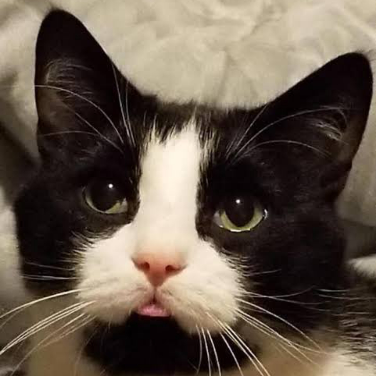 supporters member img